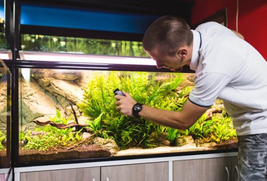 How to Clean an Aquarium Without Stressing Your Fish